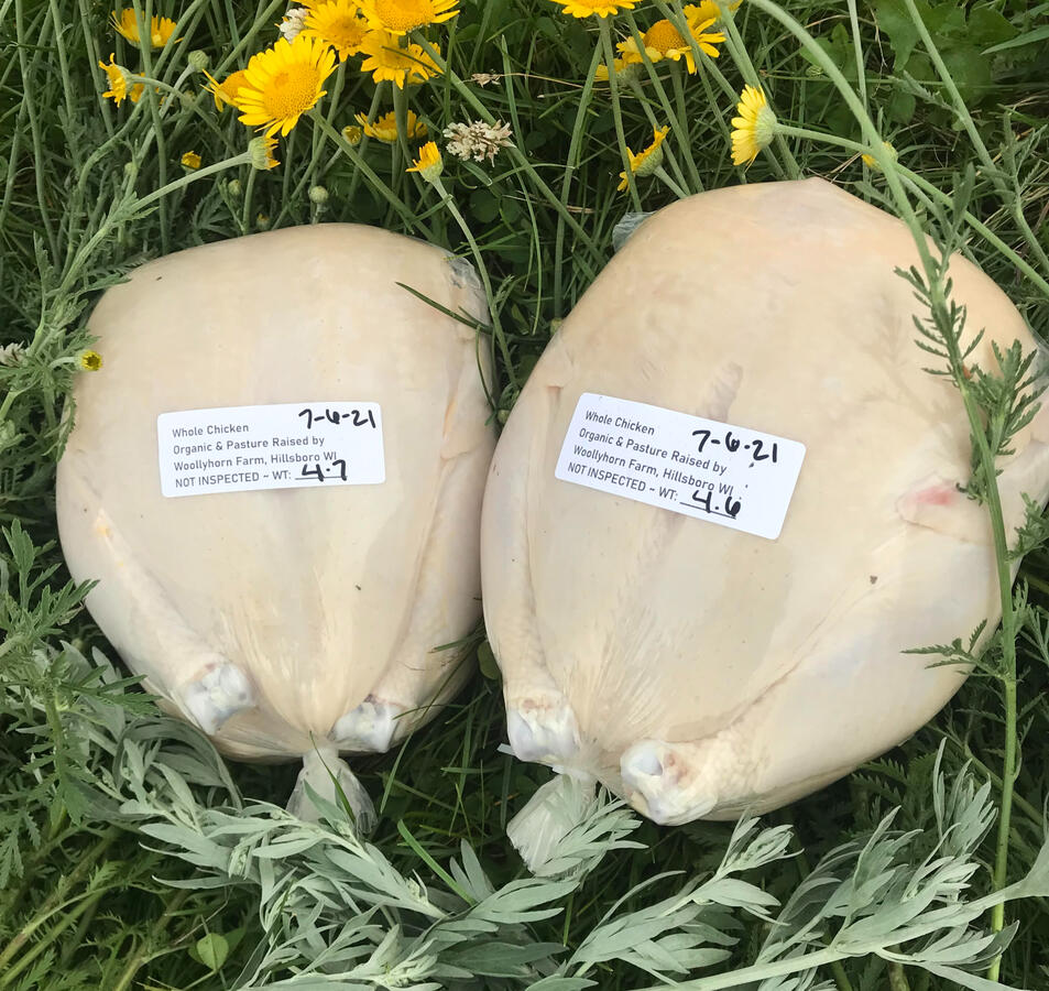 Organic Pastured Whole Chickens. $4/lb. reserve yours now for July 2025 and October 2025. email for availability. Local ONLY. CANNOT SHIP.