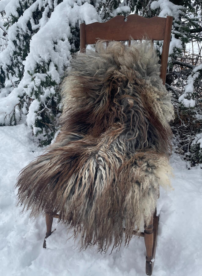 Naturally tanned sheepskins will restock soon! email to purchase. Payments accepted via Venmo or Paypal.